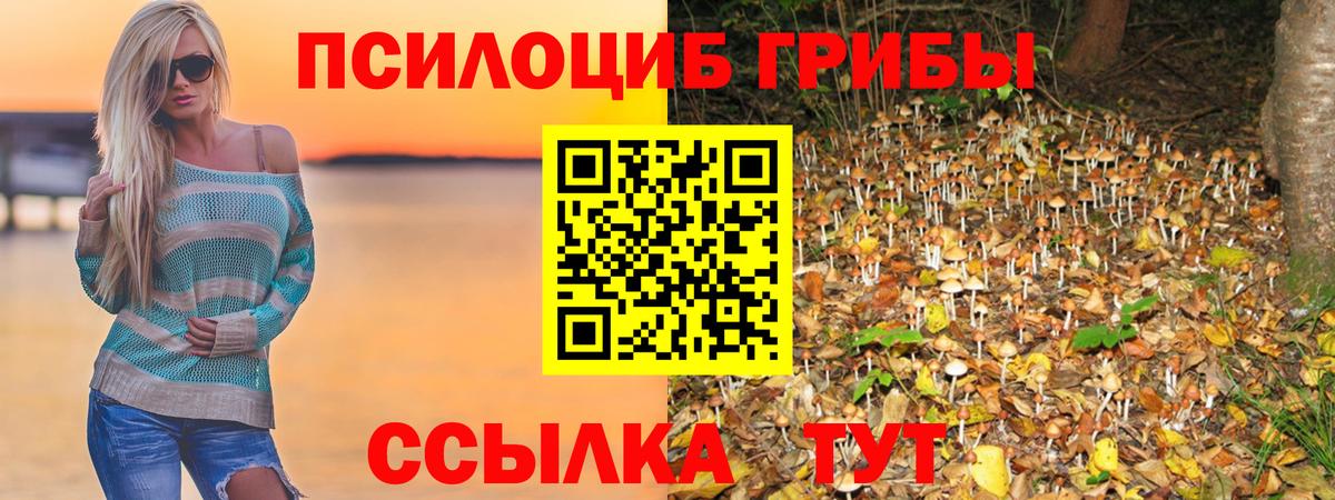 Улан-Удэ  Галлюциногенные грибы Cubensis  Галлюциногенные грибы Magic Shrooms  Вход с VPN 